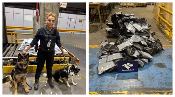 Cães farejadores apreendem mais de 280 kg de haxixe no Aeroporto de Guarulhos (Foto: Divulgação/Receita Federal)