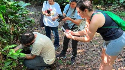 Zoológico de Guarulhos participa de desafio global de biodiversidade (Imagens: Divulgação iNaturalist)