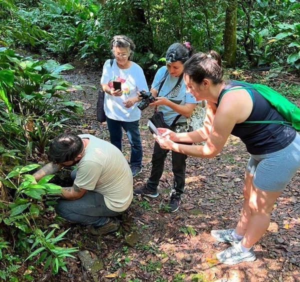 Zoológico de Guarulhos participa de desafio global de biodiversidade (Imagens: Divulgação iNaturalist)