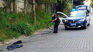GCM de Guarulhos prende homem por violência doméstica e flagra furto de cabos (Foto: Divulgação / PMG)