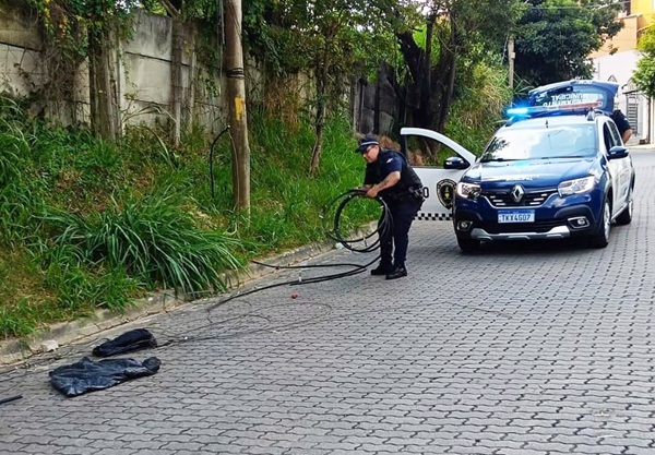 GCM de Guarulhos prende homem por violência doméstica e flagra furto de cabos (Foto: Divulgação / PMG)