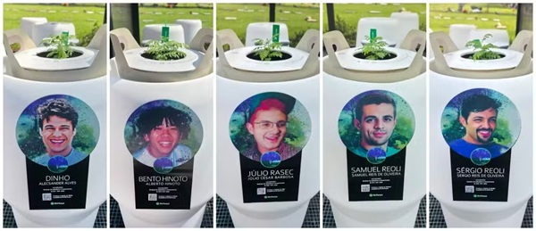 Vida que brota: Sementes com cinzas dos Mamonas Assassinas germinam em Guarulhos (Foto: BioParque Guarulhos/Everton Rodrigueiro)