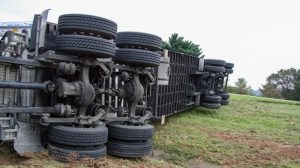 Foto: macdeedle/Pixabay