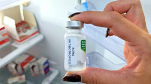 Site informa hospitais com soro para acidentes com animais peçonhentos e pode ajudar moradores de Guarulhos (Foto-Reprodução)