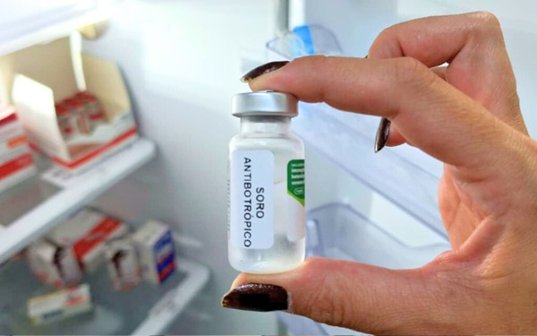 Site informa hospitais com soro para acidentes com animais peçonhentos e pode ajudar moradores de Guarulhos (Foto-Reprodução)