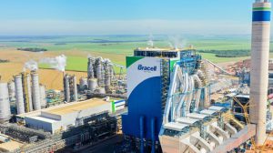 Bracell estende prazo para programa de estágio em São Paulo (Foto: Acervo Bracell)