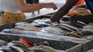 Foto: Divulgação/Agência SP