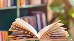 Biblioteca Monteiro Lobato inaugura estante temática para o Dia das Mães (Foto ilustrativa: Freepik)