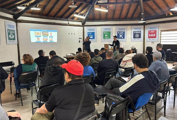Guarulhos oferece curso gratuito de criação de abelhas sem ferrão neste sábado (Foto: Divulgação /PMG)