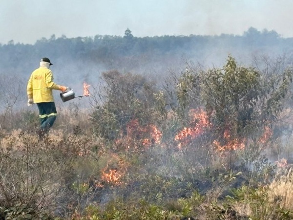 Governo de SP inicia queima controlada para prevenir incêndios em áreas de Cerrado (Foto-Divulgação)