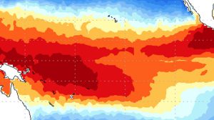 NOAA Eleva Alerta para Possível Chegada do El Niño nos Próximos Meses; Entenda os Impactos (Foto-Reprodução)