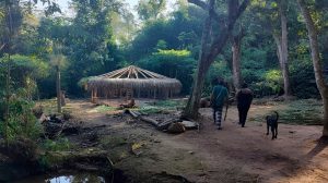 Aldeia Filhos dessa Terra: MPF cobra cumprimento de melhorias pela União (Foto: Conselho Indigenista Missionário (Cimi)