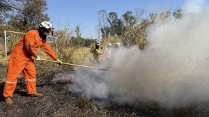 Operação São Paulo Sem Fogo amplia ações de prevenção e combate a incêndios com monitoramento via satélite (Foto: Divulgação/Governo de São Paulo)