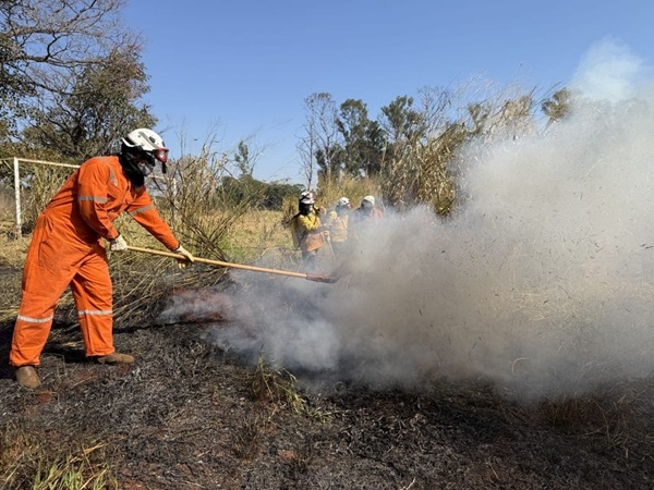 Operação São Paulo Sem Fogo amplia ações de prevenção e combate a incêndios com monitoramento via satélite (Foto: Divulgação/Governo de São Paulo)