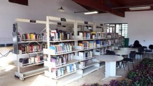 Biblioteca Gracinda dos Anjos promove atividade artística sobre meio ambiente para crianças (Imagem: Divulgação)