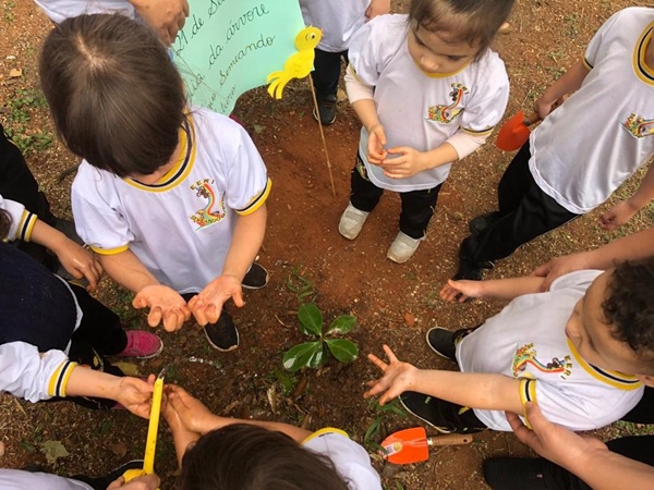 Guarulhos promove plantio de mais de 400 mudas de árvores em comemoração ao Mês do Meio Ambiente (Divulgação/PMG)