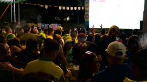 Comemoração da torcida no Praia Fan Fest / Foto: Instagram