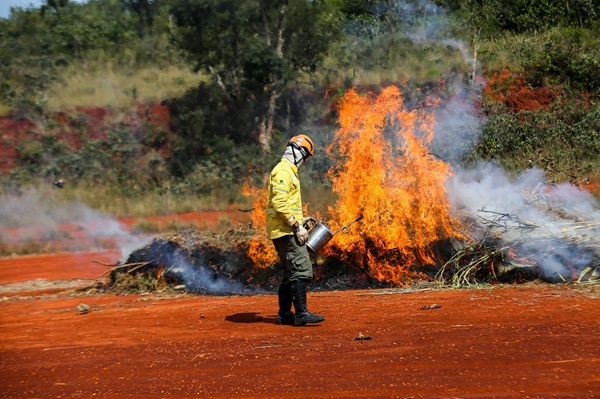 Ação humana provoca 9 em cada 10 incêndios em SP; Defesa Civil reforça medidas de prevenção (Foto-Divulgação)