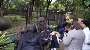 Zoológico de Guarulhos antecipa fechamento no domingo por causa do jogo do Brasil (Imagem: Fábio Nunes Teixeira / PMG)
