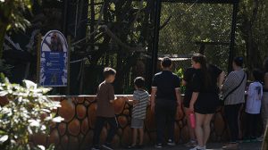 Guarulhos oferece programação gratuita para crianças (Divulgação)