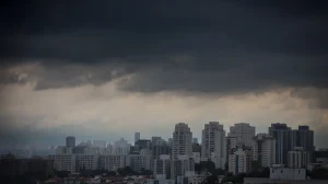 Defesa Civil de SP envia ajuda humanitária (Foto: Divulgação/Governo de SP)