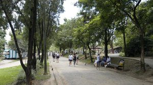 Bosque Maia terá manhã de atividades gratuitas (Foto-Fábio Nunes Teixeira/PMG)