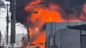 Incêndio em indústria química gera grande coluna de fumaça (Reprodução)