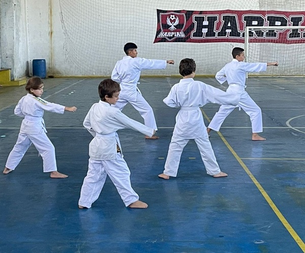 Guarulhos ganha projeto gratuito de karatê (Foto-Reprodução)