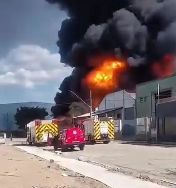 Incêndio de grandes proporções atinge empresa em Cumbica (Reprodução)