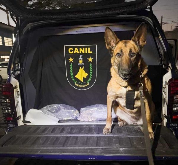GCM apreende 4,2 kg de drogas em ações de combate (Fotos: Divulgação)
