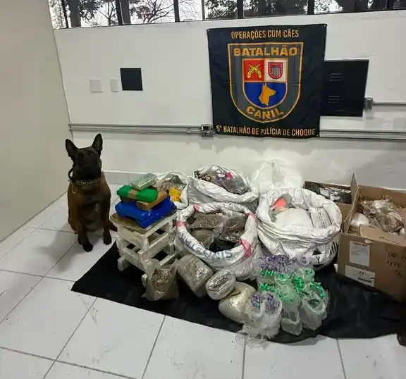Foto: Divulgação/Agência SP