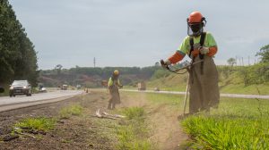 Fernão Dias passa por obras de manutenção (Foto-Divulgação)
