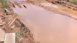 Moradores cobram melhorias na infraestrutura