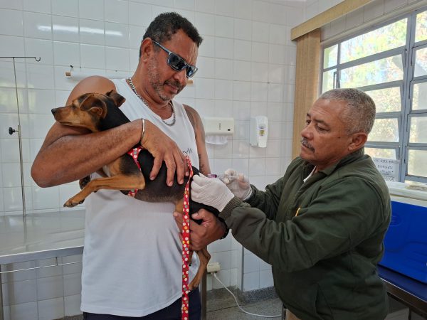 CCZ de Guarulhos realiza vacinação (Foto: Divulgação / PMG)