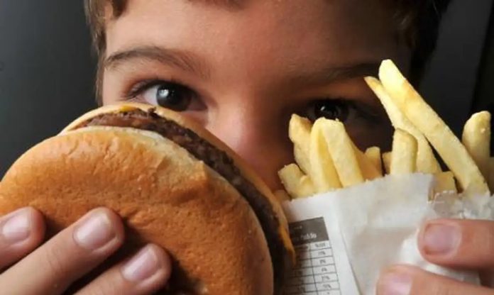 OMS lança primeiro guia global para combater a obesidade (Foto-Marcello Casal Jr./Agência Brasil)
